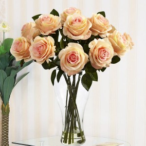 Peach Roses Vase